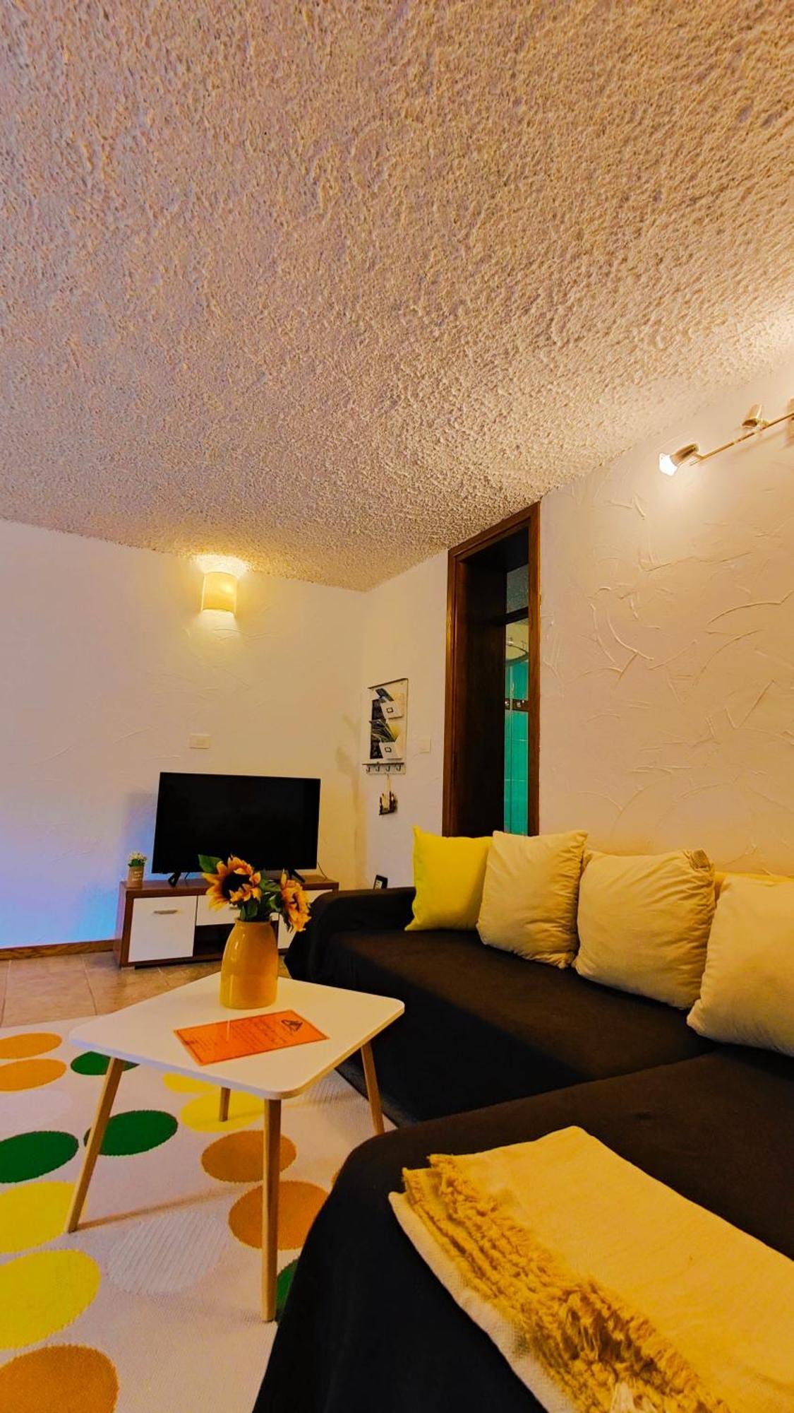 Soca Home Бовец Номер фото