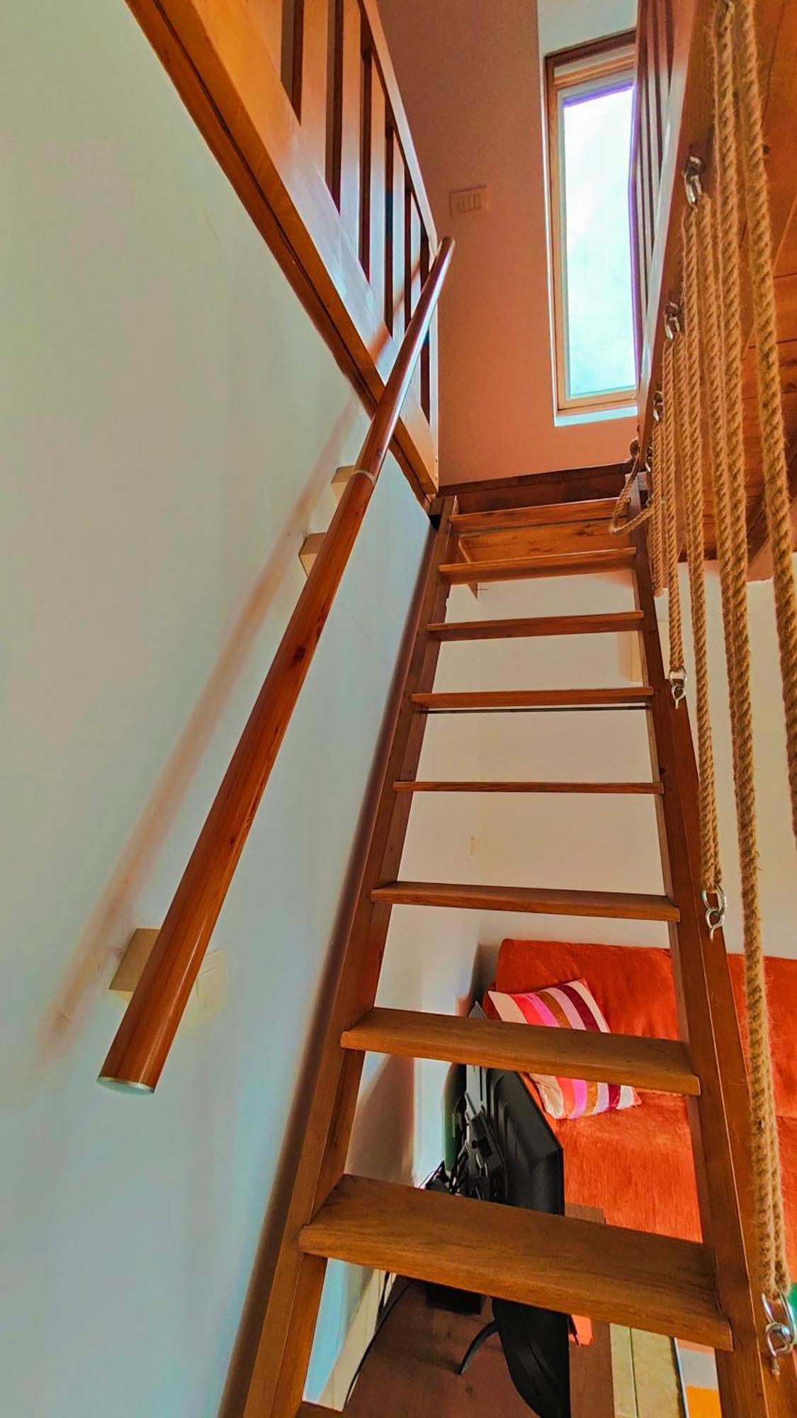 Soca Home Бовец Номер фото